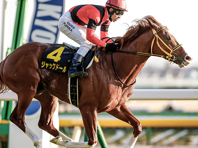 天皇賞ジャックドール藤岡騎手が決意新たに「この馬の末脚で勝負します」