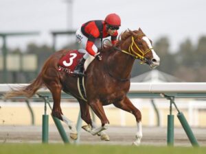 ジャックドール藤岡騎手に早くも暗雲！ノースブリッジ岩田康が逃げ宣言！