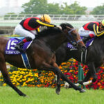 史上最低レベルのスーパーG1毎日王冠www