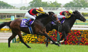 史上最低レベルのスーパーG1毎日王冠www