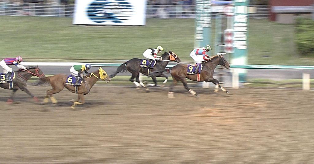 【競馬・天皇賞秋】世界レコード1分55秒2wwwwwwwwwwwww