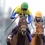 【競馬】アルバート、ムーア騎手でジャパンカップ出走