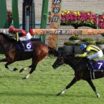 マスクトディーヴァの方が遥かに強く見えたのだが俺だけ?