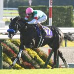 ドゥレッツァ菊花賞レーティング120 史上2位
