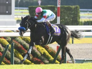 ドゥレッツァ有馬記念勝ったら引退