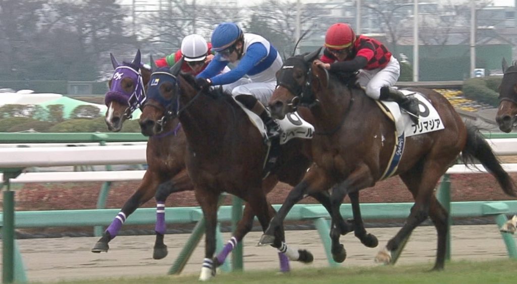 【競馬・南部杯】カフェファラオ　高松亮　え、