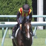 【競馬】エアスピネル次走は京都金杯か中山金杯へ