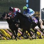 コントレイルが菊花賞を勝てた理由、マジで謎