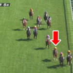 【2歳新馬】プログノーシス弟オルドヴァイ弱過ぎワロタwww