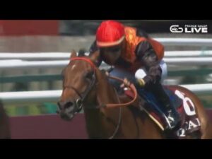 【2023凱旋門賞】現地プロモーション映像　共同馬主S.ステンプニアク氏が語るエースインパクト |JRA公式