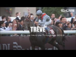 【2023凱旋門賞】現地プロモーション映像　2013年・2014年凱旋門賞制覇　トレヴあれから |JRA公式