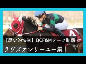 【香港カップ】制覇したラヴズオンリーユーのレースまとめ