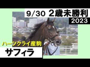 《2023年新馬》全兄サリオスの良血馬サフィラが３馬身半差で快勝！　実況：岡安譲【カンテレ公式】
