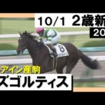 《2023年新馬》カズゴルティスが難なく主導権を握り逃げ切り勝ち! 実況:川島壮雄【カンテレ公式】