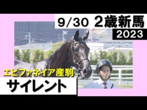 《2023年新馬》松山弘平「持ったままでハナに。脚をためることもできました」サイレントが逃げ切り勝利！　実況：川島壮雄【カンテレ公式】