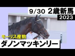 《2023年新馬》母はイギリスＧⅠ馬・ダノンマッキンリーが堂々のデビュー戦Ｖ！　実況：川島壮雄【カンテレ公式】