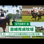 『萩野公介×JRA THE STORIES』「STORY8 宮崎育成牧場」#2 ~ウインズや公園が併設された憩いの場~ | JRA公式