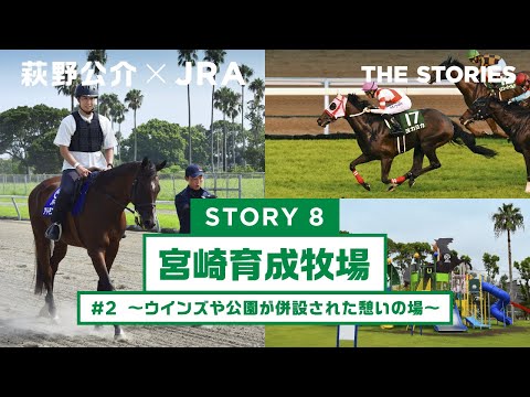 『萩野公介×JRA  THE STORIES』「STORY８ 宮崎育成牧場」#２ ～ウインズや公園が併設された憩いの場～ | JRA公式