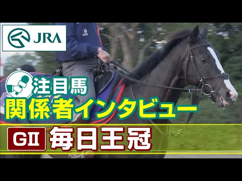 【注目馬 関係者インタビュー】2023年 毎日王冠｜JRA公式