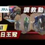 【調教動画】2023年 毎日王冠|JRA公式