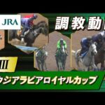 【調教動画】2023年 サウジアラビアロイヤルカップ|JRA公式