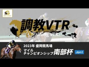 調教VTR｜2023年 マイルチャンピオンシップ南部杯 JpnI｜NAR公式