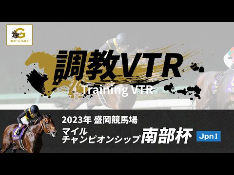 調教VTR｜2023年 マイルチャンピオンシップ南部杯 JpnI｜NAR公式