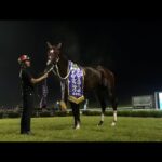 アタック!地方競馬|第236回|強豪集結! ダービーグランプリ|NAR公式