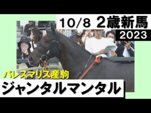 《2023年新馬》鮫島克駿騎手「勝てると確信しました」ゴール前は流す余裕で2馬身半差の完勝！　実況：川島壮雄【カンテレ公式】