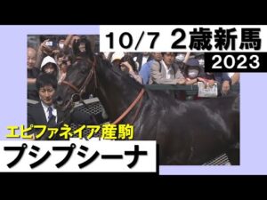 《2023年新馬》永島まなみ騎手「いい内容でした」４番人気のプシプシーナがデビューV！　実況：川島壮雄【カンテレ公式】