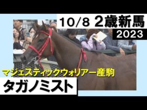 《2023年新馬》富田暁騎手「まだまだ余力ある」タガノミストが快勝！　実況：岡安譲【カンテレ公式】