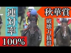 連対率100%のアンドヴァラナウトの全レースをまとめました