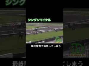【金子騎手がすぐに駆け寄る】シングンマイケルが最終障害で落馬
