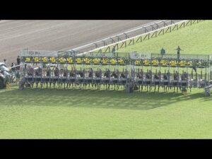 2023 SHUKA SHO (G1) | JRA Official