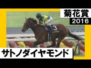2016年 菊花賞 (GⅠ) サトノダイヤモンド　実況：吉原功兼【カンテレ公式】