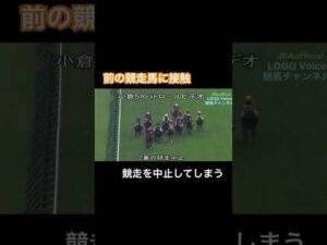 前の競走馬と接触してしまい、競走を中止