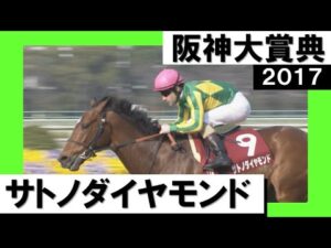 2017年 阪神大賞典 (GⅡ) サトノダイヤモンド　実況：吉原功兼【カンテレ公式】