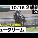 《2023年 新馬》「かわいい名前のシュークリーム!」 10月15日(日)京都 芝1200m 実況:川島壮雄【カンテレ公式】