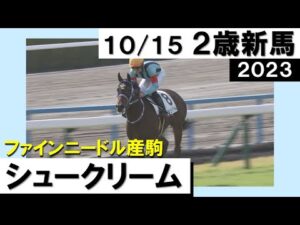 《2023年 新馬》「かわいい名前のシュークリーム！」　10月15日(日)京都 芝1200ｍ　実況：川島壮雄【カンテレ公式】