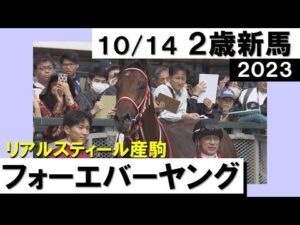 《2023年 新馬》4馬差圧勝！フォーエバーヤング　10月14日(土)京都 ダート1800ｍ　実況：川島壮雄【カンテレ公式】
