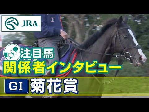 【注目馬 関係者インタビュー】2023年 菊花賞｜JRA公式