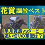 【ソールオリエンス、タスティエーラらに割って入る注目馬は…?】競馬エイト・高橋賢司トラックマンの調教解説<菊花賞(GⅠ)>