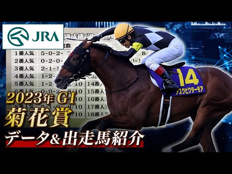 【データ&出走馬紹介】2023年 菊花賞｜JRA公式