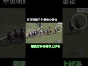 【直線一気】幸英明騎手が最後方から捲り上げる