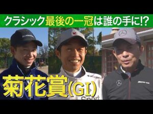 3年ぶり「淀の菊花賞」2強に挑む有力馬陣営を直撃取材！「菊男」武豊騎手の淀攻略法とは…【うまんちゅ】