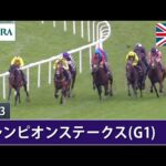 2023年 チャンピオンステークス(G1) | JRA公式