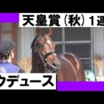 【いよいよ復帰!】ダービー馬ドウデュース 1週前の貴重映像お届け!