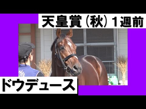 【いよいよ復帰！】ダービー馬ドウデュース 1週前の貴重映像お届け！