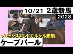 《2023年 新馬》藤岡康太騎手「いい脚を使ってくれました」ケーブパールが差し切りV！　10月21日(土)京都 芝1400ｍ　実況：川島壮雄【カンテレ公式】
