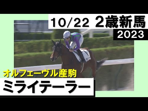 《2023年 新馬》 飯田雄三調教師「気性がいい方に出ている」ミライテーラーが３馬身差快勝！　10月22日(土)京都 ダート1200ｍ　実況：石田一洋【カンテレ公式】